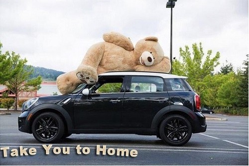 giant teddy bear 340 cm